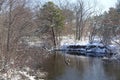 Frozen Lake with geese