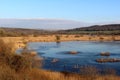 Frozen lake at Leighton Moss RSPB nature reserve Royalty Free Stock Photo