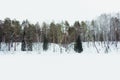 Frozen lake in the middle of beautiful winter forest. Winter landscape Royalty Free Stock Photo