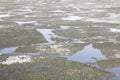 Frozen Lake in Minnesota Royalty Free Stock Photo