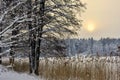Frozen lake near snowy  forest.Winter sunset Royalty Free Stock Photo