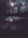 Frozen lake at night reflecting moonlight Royalty Free Stock Photo
