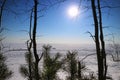 Frozen lake in pine branches Royalty Free Stock Photo