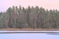 Frozen lake and pine forest in the Estonan countryside