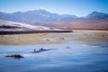 Frozen lake in San pedro de Atacama Royalty Free Stock Photo