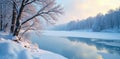 Frozen lake, snow covered branches, winter stillness, grey, tranquil, cold Royalty Free Stock Photo