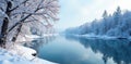 Frozen lake, snow covered branches, winter stillness, stillness, tranquil, NYC Royalty Free Stock Photo