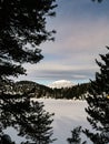 Frozen lake with a snow covered mountain peak and pine trees, at Turracher HÃÂ¶he Royalty Free Stock Photo