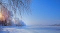 Frozen lake and snowy trees; Christmas winter Landscape Royalty Free Stock Photo
