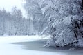 Frozen lake in a snowy winter forest. Royalty Free Stock Photo