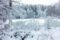 Frozen lake in a snowy winter forest. Royalty Free Stock Photo