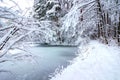 Frozen lake in a snowy winter forest. Royalty Free Stock Photo