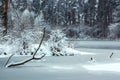 Frozen lake in a snowy winter forest. Royalty Free Stock Photo