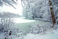 A frozen lake in a snowy winter forest. Royalty Free Stock Photo