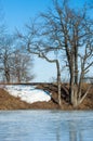 Frozen lake in the spring. spring ice Royalty Free Stock Photo