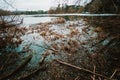 Frozen lake in spring. Ice and yellow forest shore. The ice melts in the spring. Royalty Free Stock Photo