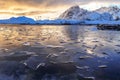 Frozen lake with thin broken ice floes on surface in backlit at the golden sunset Royalty Free Stock Photo