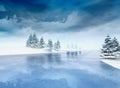 Frozen lake with trees and cloudy sky