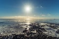 Frozen lake under shiny sun, winter landscaped