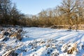 Frozen lake under snow in deep forest Royalty Free Stock Photo