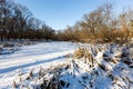 Frozen lake under snow in forest Royalty Free Stock Photo