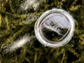 Frozen lake water with air bubbles in the form of circles and other patterns in the ice. on the background of green algae and dark