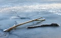 Frozen Lake winter