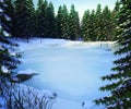 Frozen Lake Winter Backdrop Royalty Free Stock Photo