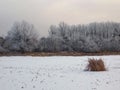 Frozen lake, winter landscape in Serbia. Royalty Free Stock Photo