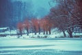 Frozen lake in winter