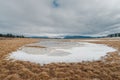 Frozen lake among yellow withered grass in a clearing among the forest Royalty Free Stock Photo