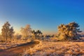 Frozen landscape in the morning light