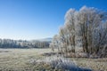 Frozen landscape