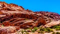 Lava-like Red Rocks in Red Rock Canyon National Conservation Area near Las Vegas, Nevada, USA Royalty Free Stock Photo