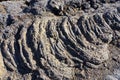 The frozen lava patterns and the remnants of the volcanic eruptions near Krafla Lava Field, Myvatn, Iceland Royalty Free Stock Photo