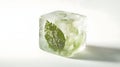 Frozen leaf encased in a pristine ice cube, symbolizing freshness and preservation. Royalty Free Stock Photo