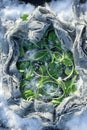 Frozen Leaf of geranium and grass