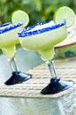 Frozen Lime Margaritas