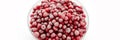 Frozen lingonberry in bowl close up on white plate on white. Banner. Top view. Copy space