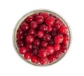 Frozen Lingonberry, Iced Cowberry, Snow Cranberry, Red Viburnum Berries, Frozen Lingonberry