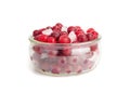 Frozen Lingonberry, Iced Cowberry, Snow Cranberry, Red Viburnum Berries, Frozen Lingonberry