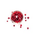 Frozen Lingonberry, Iced Cowberry, Snow Cranberry, Red Viburnum Berries, Frozen Lingonberry