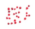 Frozen Lingonberry, Iced Cowberry, Snow Cranberry, Red Viburnum Berries, Frozen Lingonberry