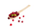 Frozen Lingonberry, Iced Cowberry, Snow Cranberry, Red Viburnum Berries, Frozen Lingonberry