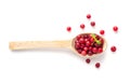 Frozen Lingonberry, Iced Cowberry, Snow Cranberry, Red Viburnum Berries, Frozen Lingonberry