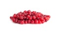 Frozen Lingonberry, Iced Cowberry, Snow Cranberry, Red Viburnum Berries, Frozen Lingonberry