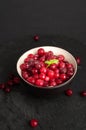 Frozen Lingonberry, Iced Cowberry, Snow Cranberry, Red Viburnum Berries, Frozen Lingonberry