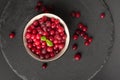 Frozen Lingonberry, Iced Cowberry, Snow Cranberry, Red Viburnum Berries, Frozen Lingonberry