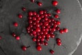 Frozen Lingonberry, Iced Cowberry, Snow Cranberry, Red Viburnum Berries, Frozen Lingonberry