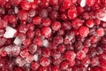 Frozen Lingonberry, Iced Cowberry, Snow Cranberry, Red Viburnum Berries, Frozen Lingonberry